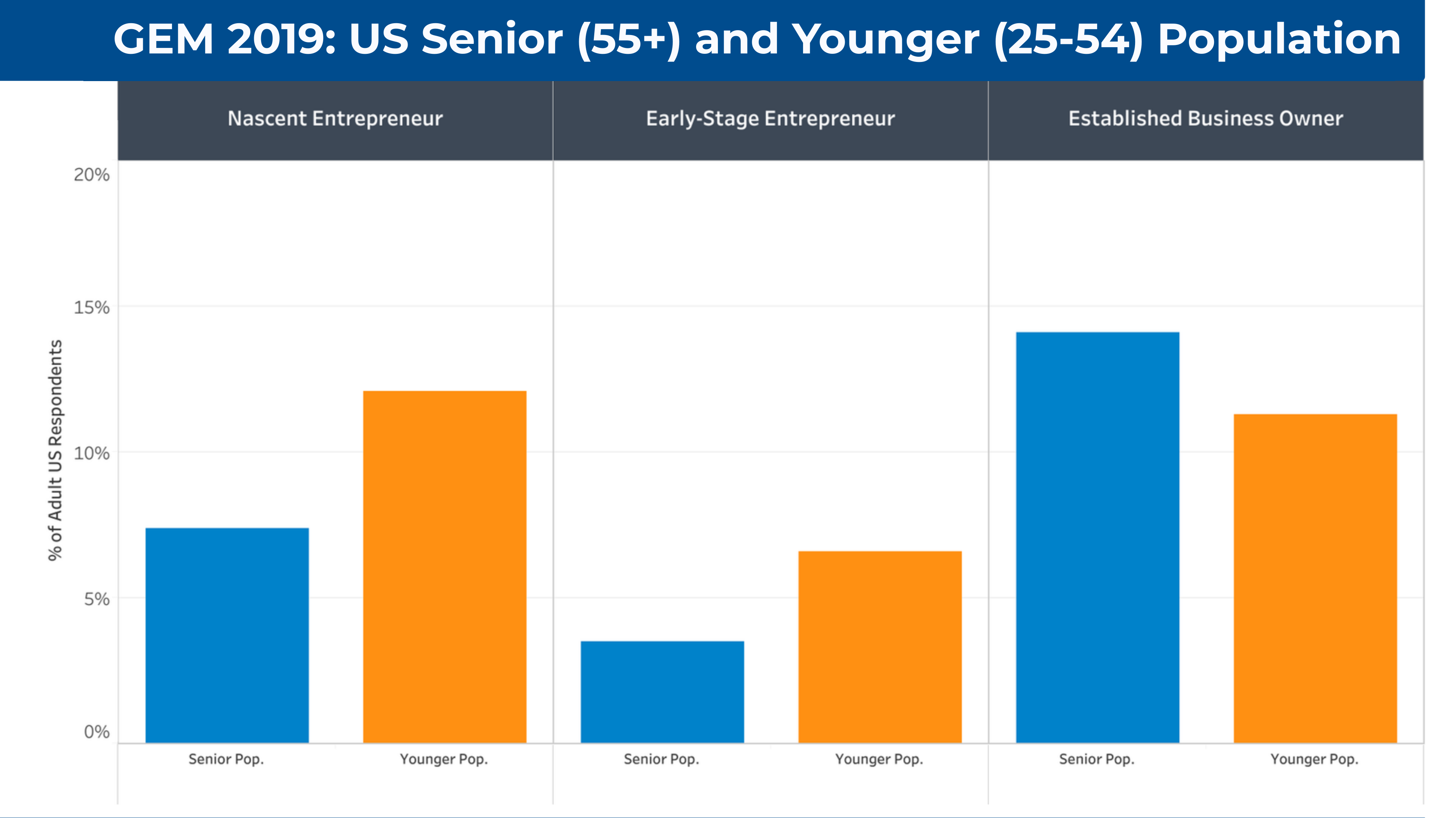 THE STATE OF SENIOR ENTREPRENEURSHIP IN THE USA GEM Global ...